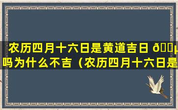 农历四月十六日是黄道吉日 🌵 吗为什么不吉（农历四月十六日是黄道吉日吗为什么不吉呢）